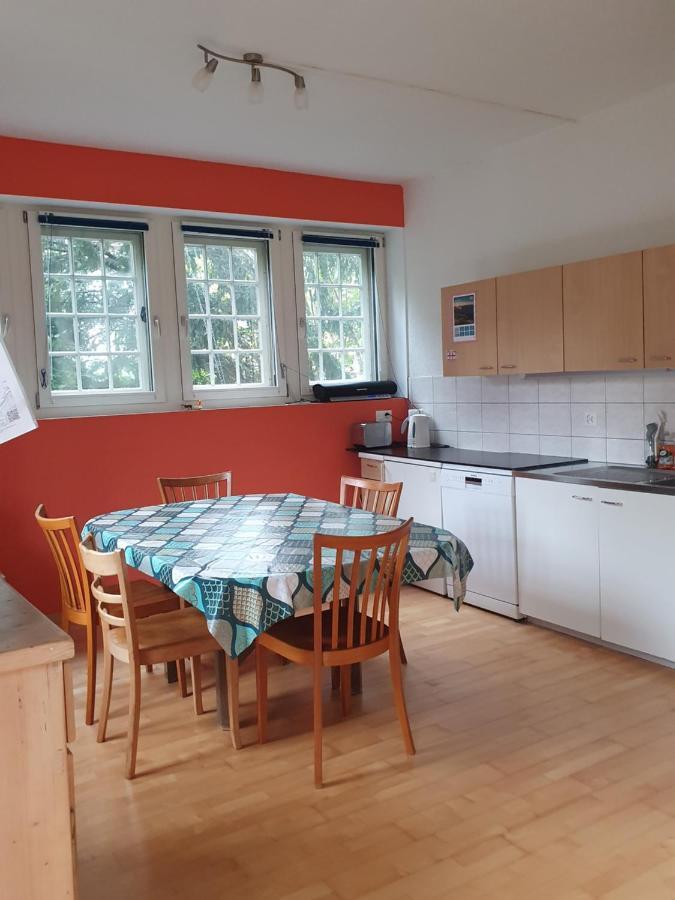 Zentral Gelegene Wohnung Mit Grossem Garten Interlaken Luaran gambar