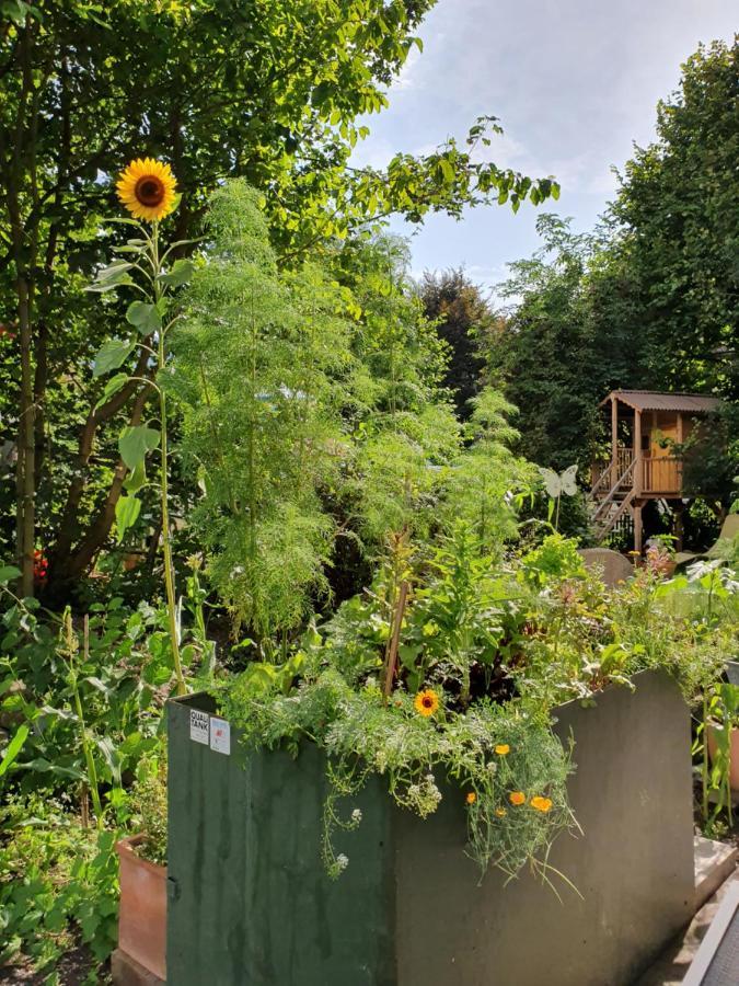 Zentral Gelegene Wohnung Mit Grossem Garten Interlaken Luaran gambar