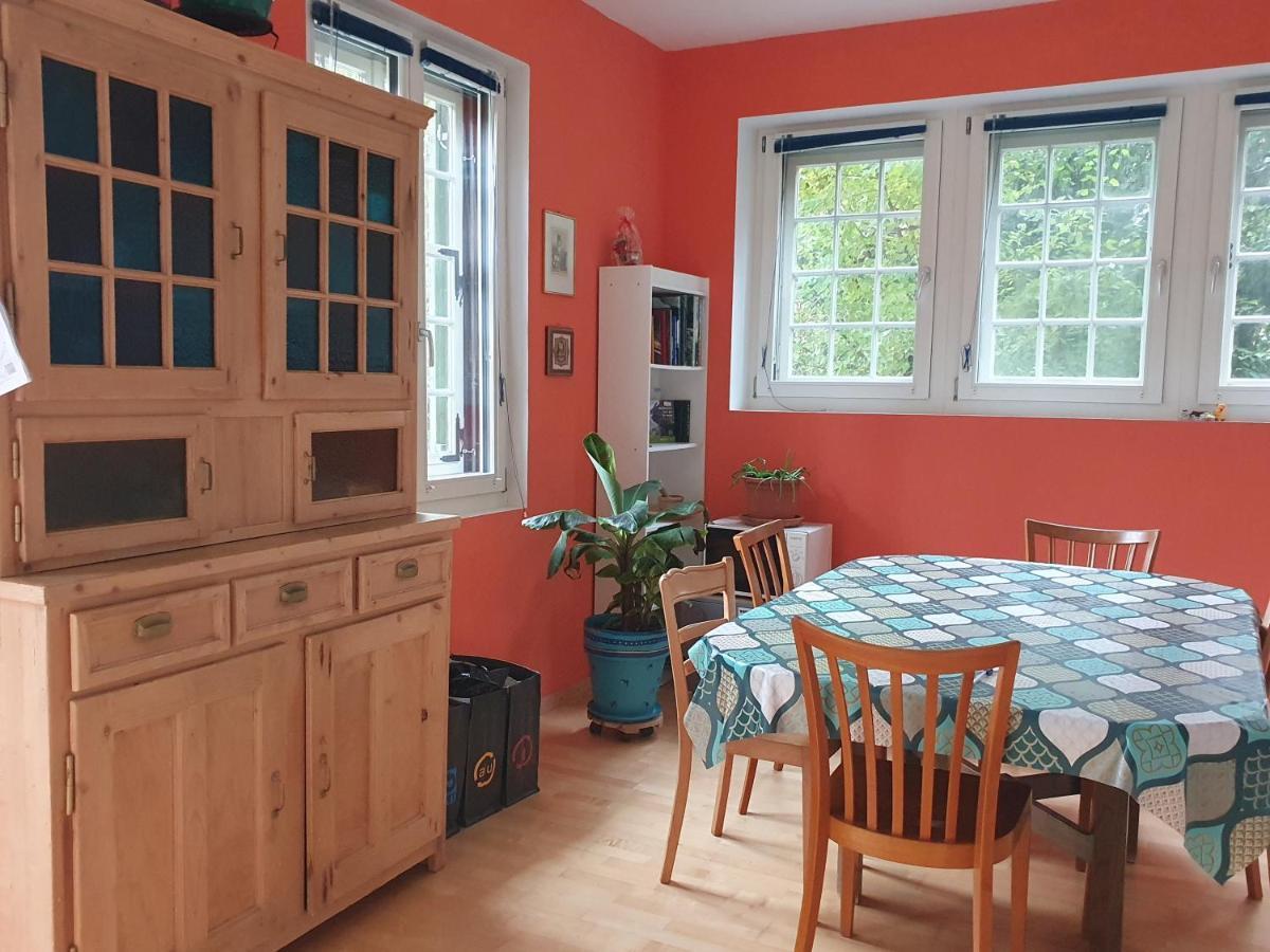 Zentral Gelegene Wohnung Mit Grossem Garten Interlaken Luaran gambar