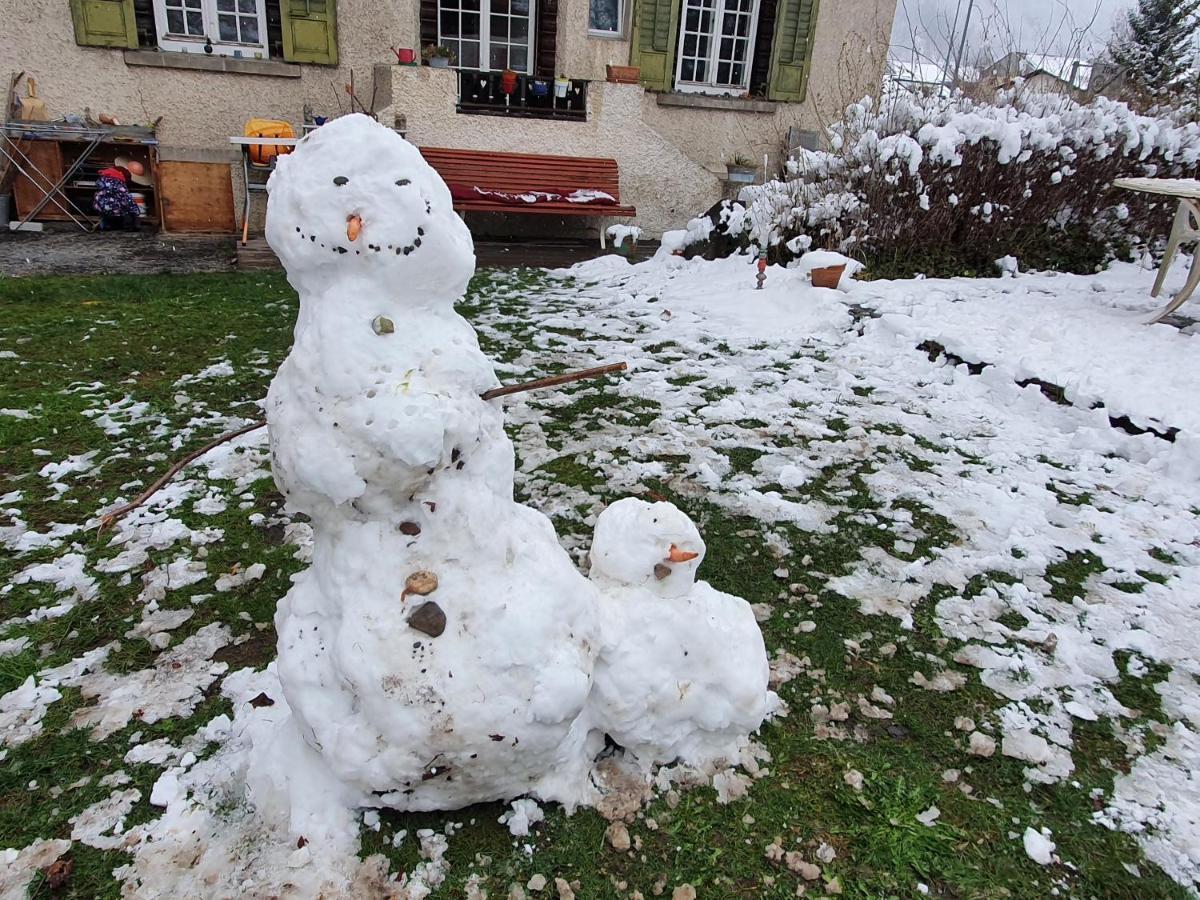Zentral Gelegene Wohnung Mit Grossem Garten Interlaken Luaran gambar
